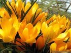   foto     32416002  