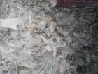 Уникальное фотографию  Продам веники дубовые банные(добрые) 34277744 в Хабаровске