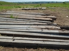  foto     64766056   