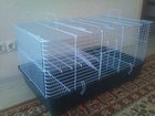 Уникальное изображение  Продам новую клетку для морских свинок, кроликов и т, п, 33290431 в Кемерово