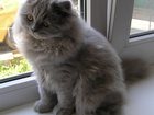  foto     32628388  