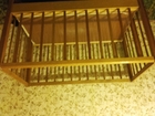  foto    35783988  