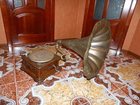  foto     34520593  