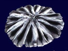           37652537  
