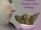 Скачать фотографию Другие животные Пойми свою собаку, 32297810 в Москве