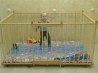 Увидеть foto Детская мебель Манеж детский отечественный деревянный 1, 3х1, 8м с высокими стенками 80см 34255637 в Казани