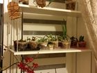 Скачать бесплатно foto  Для комнатных растений полка - стеллаж - подставка на подоконник 35377985 в Москве