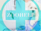      Zoohelp! 39560829  
