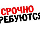  foto       , 68506657  