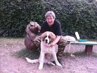 Увидеть фотографию Собаки и щенки Кинолог: профессиональная дрессировка собак 71318681 в Москве