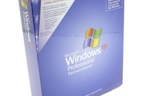   Windows/Office