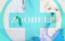 Ветеринарная клиника Zoohelp