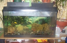 Продам аквариум на 200 литров