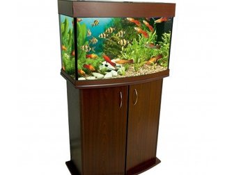 Свежее foto  Купите аквариум! Насладитесь океаном у себя дома! 34424568 в Москве