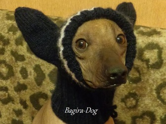 Уникальное фотографию Одежда для собак Шапки для собак 36626371 в Москве