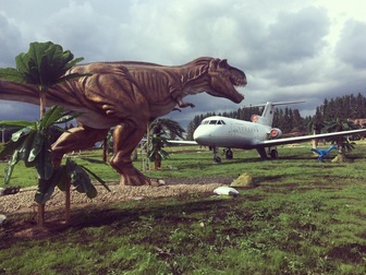 Скачать фото  Экскурсия в парк динозавров 64771817 в Ярославле