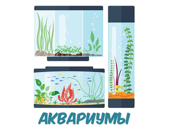 Скачать изображение  Магазин аквариумистики Hofish, Все виды работ, 67845283 в Москве