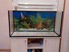 Новое фотографию Купить аквариум Продам аквариум-террариум 33869002 в Новосибирске