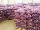 Скачать бесплатно изображение  картофель оптом, продам, толькь у нас, 68129347 в Новосибирске