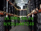  foto  ,   , -  38568694  