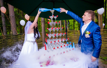 Организация свадеб в Пушкино