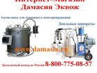  foto     32613214  