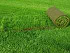 Увидеть изображение Ландшафтный дизайн Рулонный газон 38877044 в Рязани