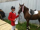 Увидеть фото Другие животные продам спортивную лошадь 33138898 в Ростове-на-Дону