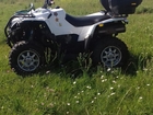    ATV 800D 36073150  --