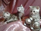  foto   32361755  -