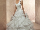        Gabbiano 35058338  -