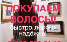Продать волосы в Санкт-Петербурге, Дорого