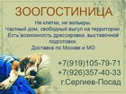  foto  ,      32370419   