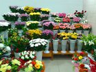 Новое фото  Цветочный салон в Северске 33599707 в Северске
