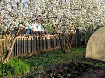 Продается отличный сад за Ашкадаром , свет , баня , рядом река Белая , участок не затапливает [#3214411#] в Стерлитамаке
