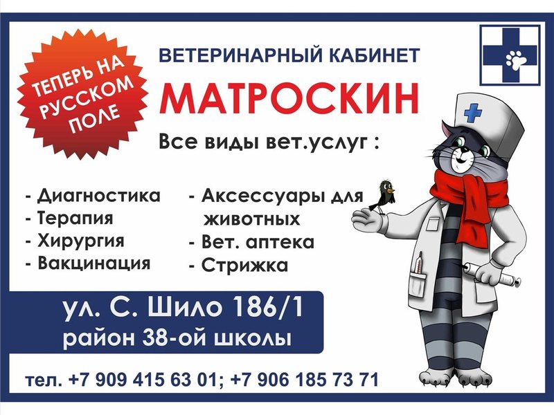 Ветеринарная Аптека Таганрог Адреса И Телефоны