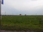   foto      ,  37596551  