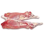 Увидеть фото Мясные субпродукты Баранина, Колим под заказ, можем привозить еще теплое мясо в течении короткого времени 66551515 в Тюмени