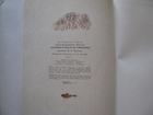   foto      68353561  