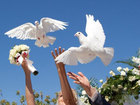  foto      32543521  