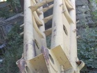 foto      -473 40032855  