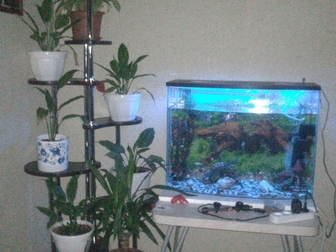 Увидеть foto  Продается аквариум 33927102 в Волгограде