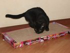 Скачать фотографию  Новое поколение когтеточек-лежанок для кошек в Вологде, 32316593 в Вологде