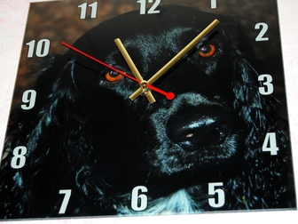 Уникальное изображение Вязка собак Русский охотничий спаниель, 44895831 в Воронеже