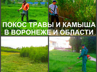 Увидеть фотографию Ландшафтный дизайн Покос травы в Воронеже 59121965 в Воронеже