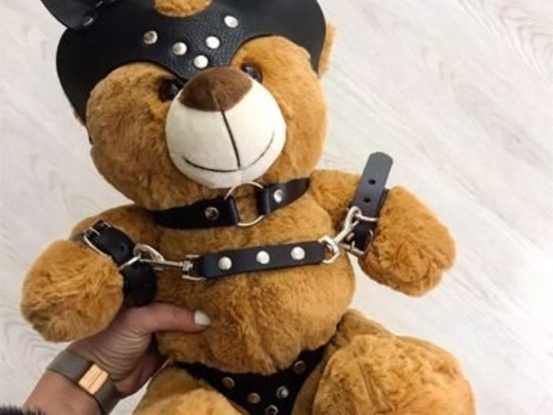 Bondage teddy bear
